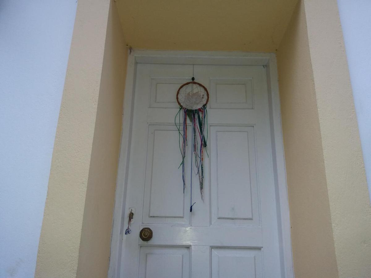 Elm Tree Dream Catcher Strinilas 외부 사진